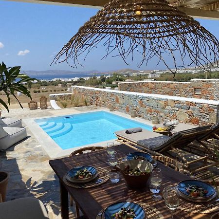 Villa Ypsilon Naxos - Luxury Holiday House With Amazing Sea View & Private Pool Айя-Анна Экстерьер фото